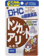 DHC 톤 컷 개미 엑기스 20일분