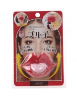 리프트업 트레이너 브르코