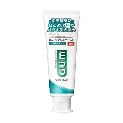 [치약]GUM 덴탈 페이스트 약용 솔티 민트 스탠딩타입 치약150g